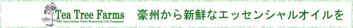 �e�B�[�c���[�I�C���̃X�y�V�����X�g�@�e�B�[�c���[ �t�@�[���Y�ւ悤����